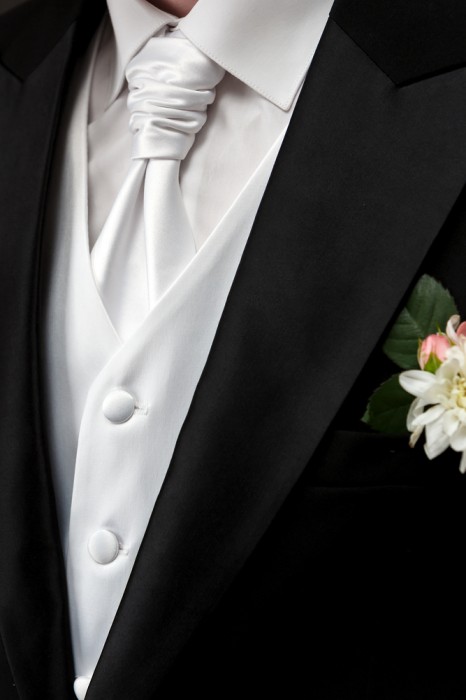 Tie of the groom