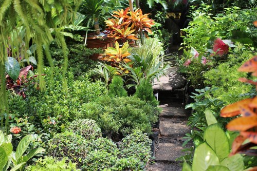 Philippines garden
